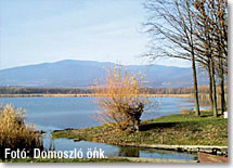Domoszli-t