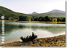 Hasznosi-vztroz